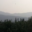영천시신녕면부산보건진료소 | 부산진료소-신녕