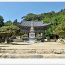 장산불교사 | 부산시 기장군 불광산 장안사 !