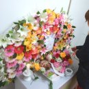 아로 이미지