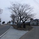 참숯굴건강랜드 이미지