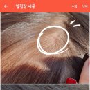 다인머리하는집 이미지