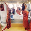 완월동282 이미지