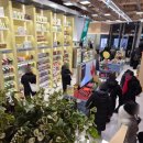 도기프렌즈 웰니스센터 | 올리브베러 광화문점 올리브영 신규 런칭, 올리브베러 갔다온 후기