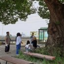 소로리 농장 이미지