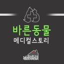 바른동물메디컬센터 이미지