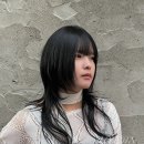 혜진디자인 이미지