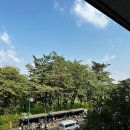 색연필로 즐감하는 행복한 미술 | 아이와 함께하는 방콕 3주 살기, 9일차 – 짜뚜짝시장 아리역 맛집 카페 에까마이 맛집까지
