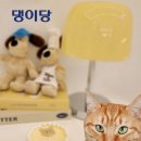 댕이당 네이버블로그