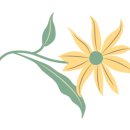 기장초등학교병설유치원 이미지