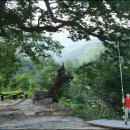 창원마을 이미지