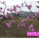 정경농장 이미지