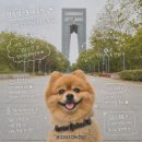 두리조경 | 경주 애견동반 가볼 만한 곳 경주엑스포대공원 애견동반은 반값 할인(?)