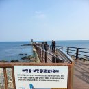 장길리복합낚시공원 보릿돌 전망대 | 포항 구룡포 가볼 만한 곳