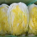 학동농장 이미지