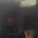펄디스트릭플라워