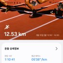 [2025. 3. 31. 월. 해.]-[유산소-12.53km, 적산-362.14km, 1~11℃, 06:11~18:44] 이미지