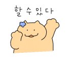 콤페이 이미지