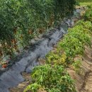 리리유치원 이미지