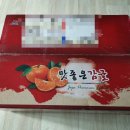 홍순이감귤농장 타이벡감귤, 제주감귤