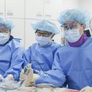 83 백세시대