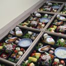사하구 하신번영로73번길 | [부산사하구도시락] 부산 프리미엄 도시락 VIP7호, 특별한 점심의 품격