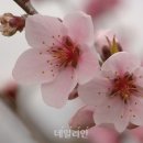초우당 이미지