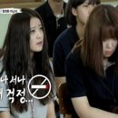 송프로 이미지