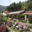 계곡속의동화 이미지