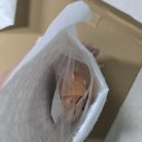 새벽옛날통닭배미점