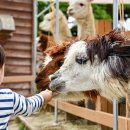 구이농협협동조합 이미지