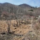 곡성농장 이미지