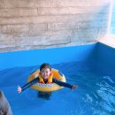 파라이소 | 거제도펜션 ‘파라이소’ 1박 2일 후기