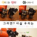 개토피아 이미지