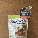 BS조은동물병원 | 플렉사딘 어드밴스 BS 강아지 관절 영양제 후기