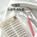 비벨르 | 노글루 속눈썹 추천! 비벨르 속눈썹 후기 (똥손도 5분 완성)