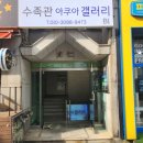 아쿠아 갤러리 | 인천 선학동 수족관 &#34;아쿠아갤러리&#34; 방문 후기