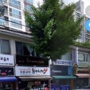 수이피아노음악교습소 이미지