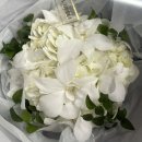 안산우체국 | 안산공방 플로라베르에서 부케기프트 제작 후기, 꽃 안전하게 택배보내기