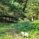 소양강둘레길 2코스 이미지