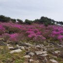 청도자연휴양림 이미지