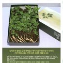 석봉태권도장 이미지