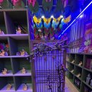 혜성사 | 처인구신점 잘보는 곳, 혜성사 방문 후기