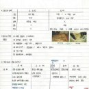 한국사 이미지