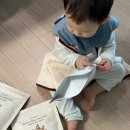 내돈내산 후기 질마재농장 우리아기 첫 간식 추천 유기농 떡뻥