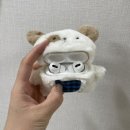 류경장