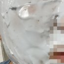페이스홀릭 이미지