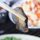 조개빛바다 이미지