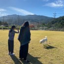 한울학교 이미지