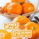 겨울 제철 과일 귤! 귤껍질 활용방법 알아봐요 이미지