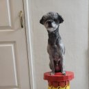 이마트 계양점 이미지